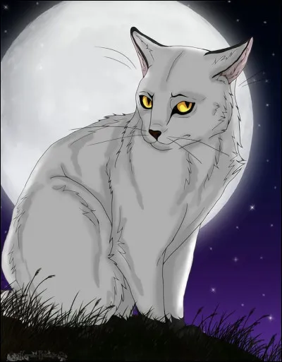 Comment est-il mort ?