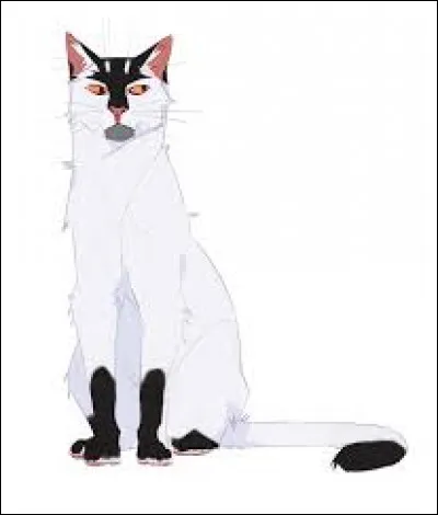 Qui était son mentor ?