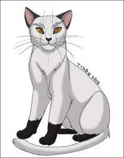 Quel est son nom de guerrier ?