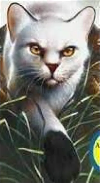 À qui succède-t-il au poste de lieutenant ?