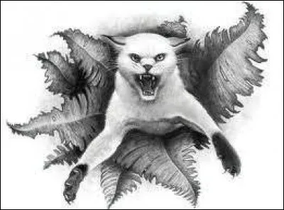 Étoile de Jais na-t-il plus cru au Clan des Étoiles à un moment ?