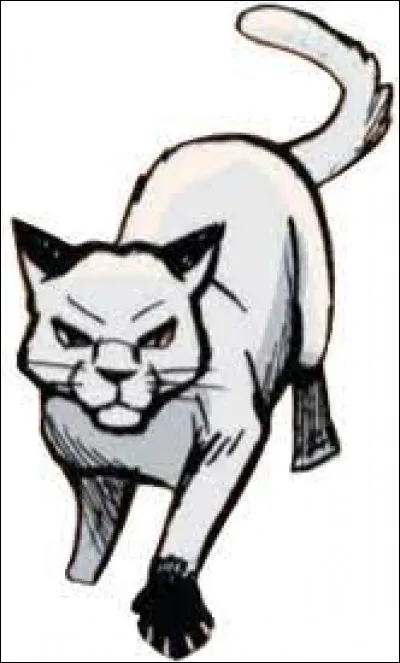 Combien de chats a-t-il tués ?