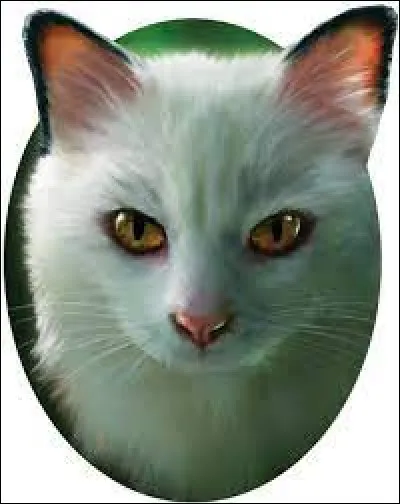 Comment a-t-il fait pour que le Clan du Tonnerre lui donne de lherbe à chat ?