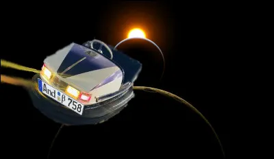 -"Hé, Toto : On vole à gauche et de haut en bas, ici !"
-"Laisse tomber, c'est un touriste..."
[Oui, mais d'où vient-il ?]