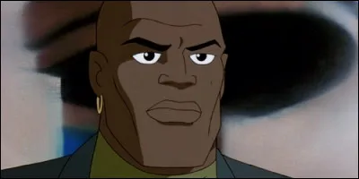 Quelle est la profession de John Henry Irons ?