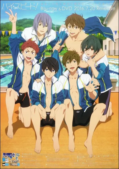 Quel est cet animé ?