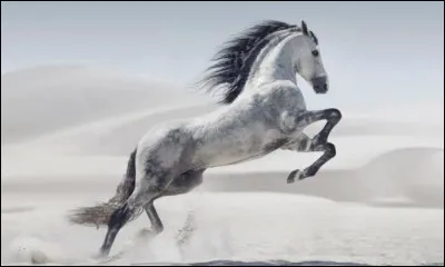 Qui chantait : « Le petit cheval dans le mauvais temps, qu'il avait donc du courage ! C'était un petit cheval blanc, tous derrière, tous derrière... »