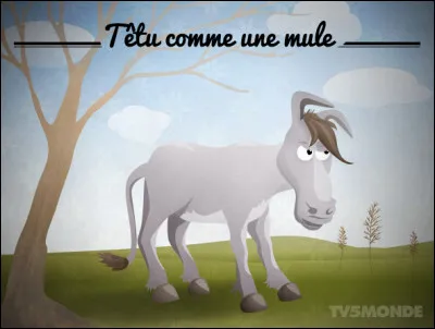 Quel est ton caractère ?