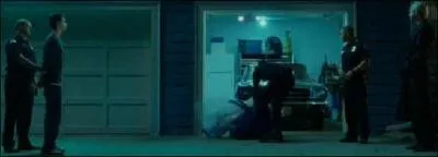 Quel animal est mort renvers par Robert Turner ?