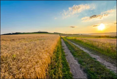 "Je voudrais mourir debout, dans un champ, au soleil..." : qui chante, en 1967, "Mourir au soleil" ?