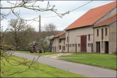Nous sommes dans le Grand-Est, à Molring. Petit village de 5 habitants, dans l'arrondissement de Sarrebourg-Château-Salins, il se situe dans le département ...
