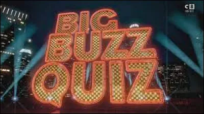 Qui a présenté le jeu télévisé "Big Buzz Quiz" sur C8 ?