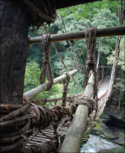 Un mystérieux pont de liane semble permettre de rejoindre plus vite le village suivant, il n'a pas l'air d'avoir servi depuis un moment mais semble néanmoins solide.