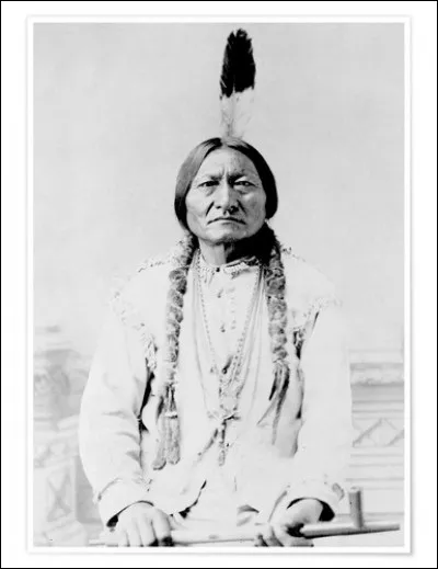 Voici un autre indien mais qui résidait sur le continent américain. 
« Quand ils auront coupé le dernier arbre, pollué le dernier ruisseau, pêché le dernier poisson. Alors, ils s'apercevront que l'argent ne se mange pas. »
Quel grand chef sioux prononça ces paroles ?