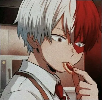 My Hero Academia : Qui a brûlé l'il gauche de Shoto Todoroki lorsqu'il était petit ?