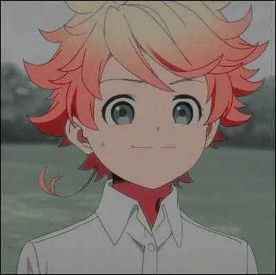 The Promised Neverland : En 2039 Emma, Norman et Ray désobéissent à Isabella en allant au portail. Ils se demandent ce qu'ils feront quand ils sortiront de l'orphelinat. Que souhaite faire Emma ?