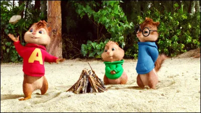 Tu es plutôt à l'écoute ou sur le devant de la scène ?