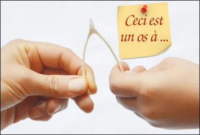 Compl&eacute;tez la phrase ci-dessus !