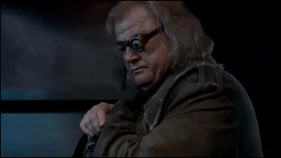 Quelle description physique lui irait le mieux ?