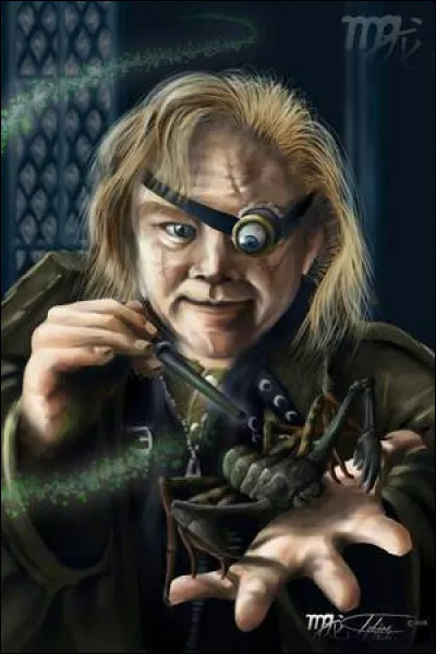 Combien d'année a-t-il travaillé après Poudlard pour devenir un Auror ?