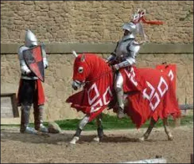 Où est situé le premier Puy du Fou ?
(Je précise le premier car il en existe un autre en Espagne et bientôt un aux Amériques)