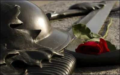 À qui doit-on le titre "La Rose et l'Armure" ?