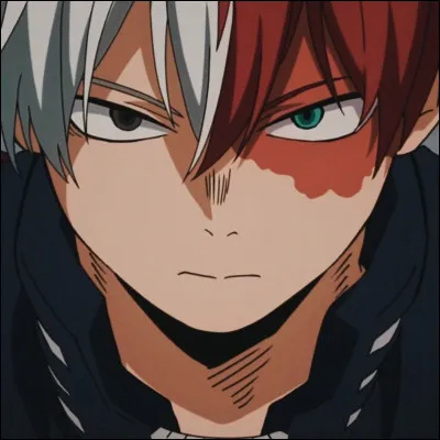 Est-ce que Shoto Todoroki a deux Alter ?