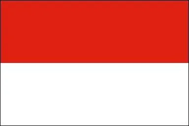 A quel pays appartient ce drapeau ?