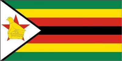 A quel pays appartient ce drapeau ?