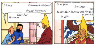 Là, c'est vous qui prenez un petit papier pour inscrire le titre du personnage avec lequel dialogue Tintin et Haddock. Alors ?