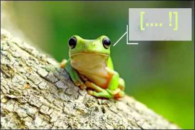 Le cri de la reinette couleur pomme ! Quel est-il ?