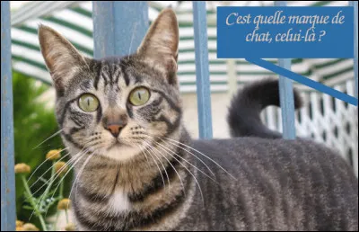 Répondez à la question sans en poser, svp !