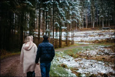 À quelle chanteuse doit-on le titre "Reviens pour l'hiver" ?
