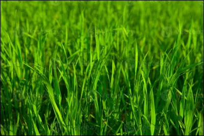 Quelle est cette couleur ?