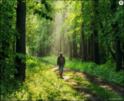 Où préfères-tu te balader ?