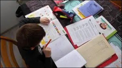 Fais-tu les cours en appel vidéo (ou télétravail) ?