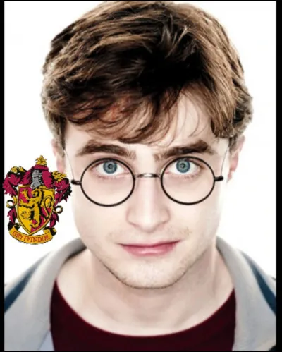 Dans quelle maison est Harry Potter ?