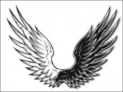 "Au dessus de Berlin", comme chez Wim Wenders.