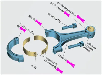 &Ccedil;a ne manque pas d'entra&icirc;nement, ces petites choses-l&agrave; !