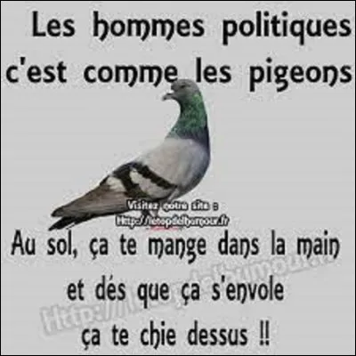 Citation : 
Et pour terminer une petite citation. Quel humoriste a dit : ''La différence qu'il y a entre les oiseaux et les hommes politiques, c'est que de temps en temps les oiseaux arrêtent de voler !''