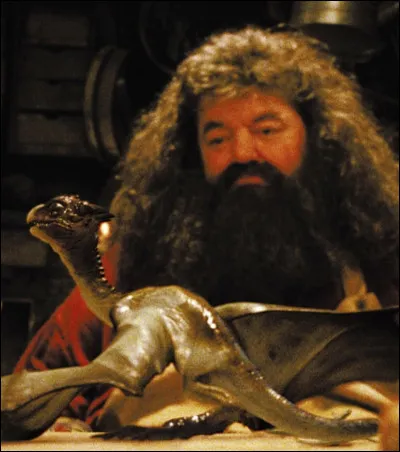 À quelle variété appartient Norbert, le dragon d'Hagrid ?