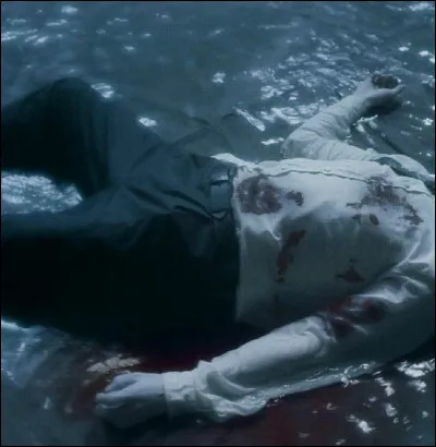 Dans ''Le Prince de sang-mêlé'', quel sort utilisé par Harry laisse des blessures profondes sur le corps de Drago lors de leur duel aux toilettes ?