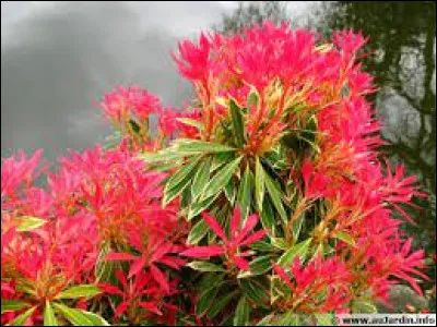 Dans la mythologie grecque, je suis une princesse éthiopienne. Trouvez le nom de cette constellation de l'hémisphère nord.