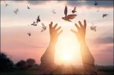 Symbolisant la paix, Trouvez ma constellation !