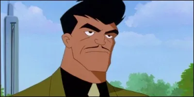 Bruno Mannheim est le dirigeant de :