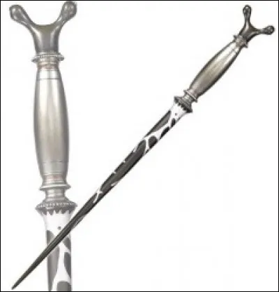 À quel professeur appartient cette baguette ?