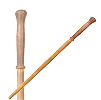 À quel Weasley appartient cette baguette ?