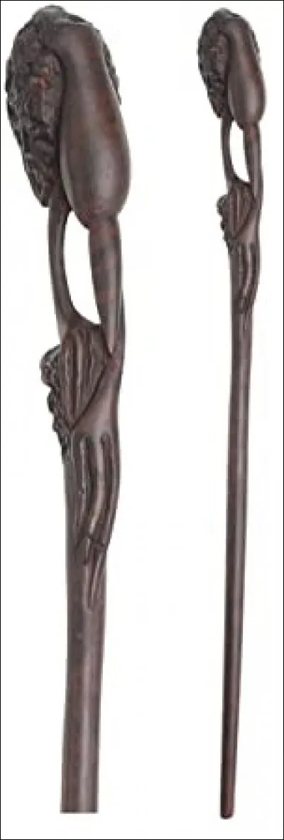 À quel Auror appartient cette baguette ?