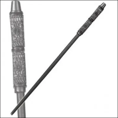 À quel professeur appartient cette baguette ?