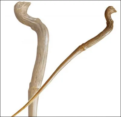 À qui appartient cette baguette ?